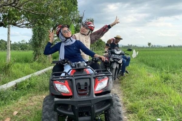 Lombok ATV ride rice field view