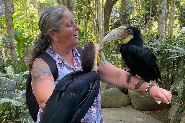 Lombok bird park shore excursion