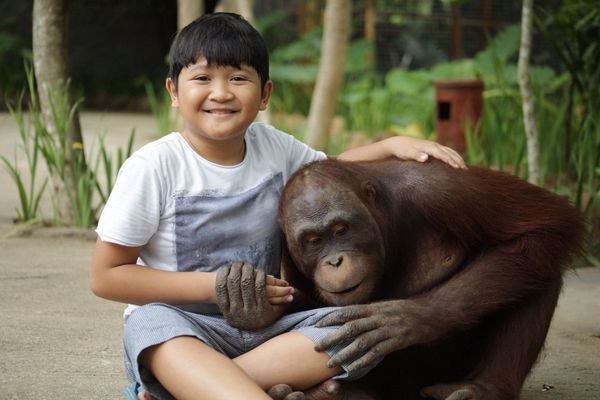 Lombok wildlife park orangutan cruise tour