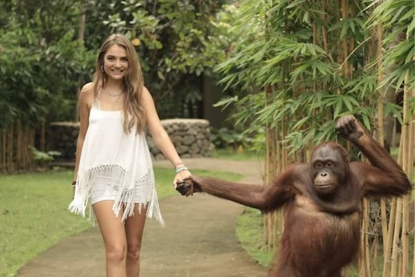 Orangutan encounter lombok shore excursion