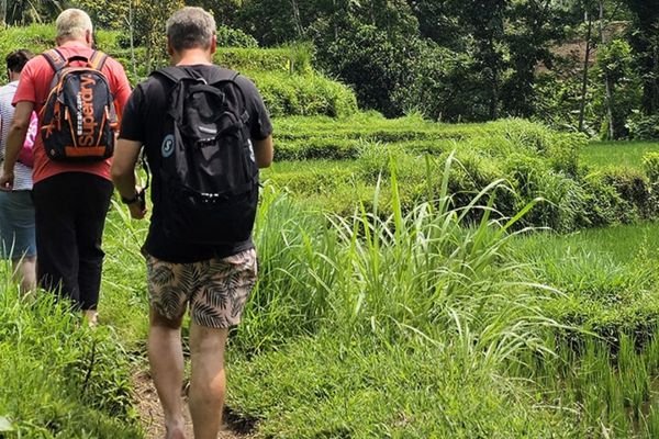 Scenic rice field stop near Gili Mas Port private tour