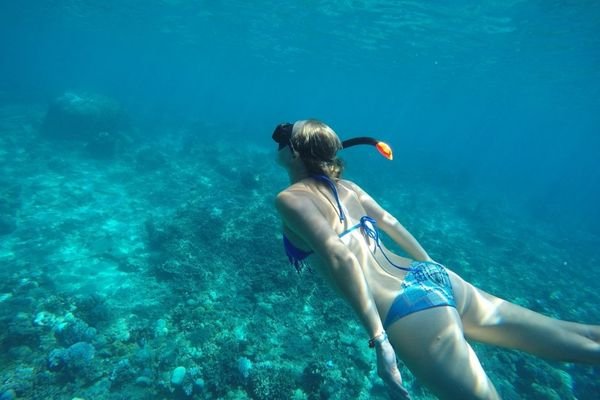 Snorkeling trip from Gili Mas Port to Gili T