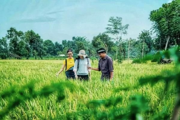 Wellness and adventure tour Bilebante