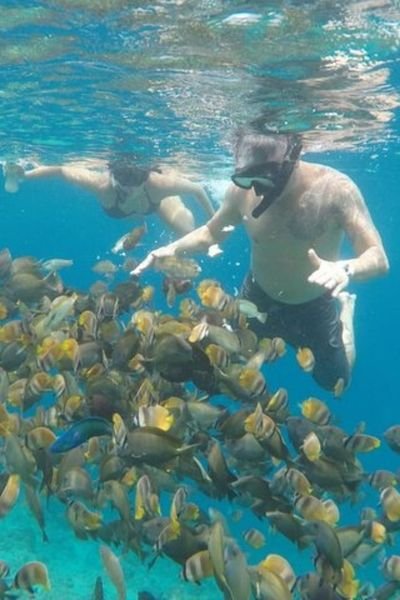 gili trawangan point snorkeling shore excursion