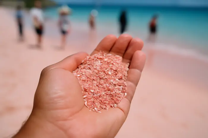 sasak kuta beach excursion 1