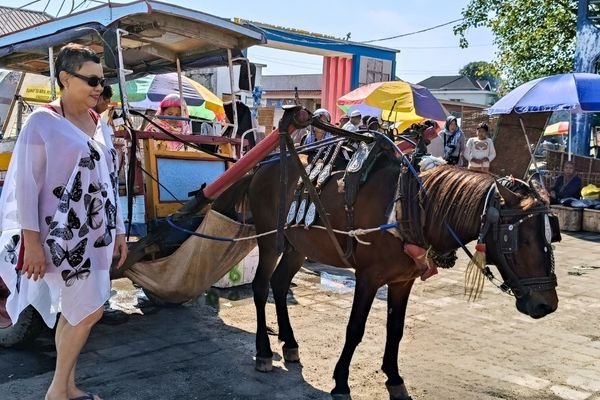 visit local market lombok