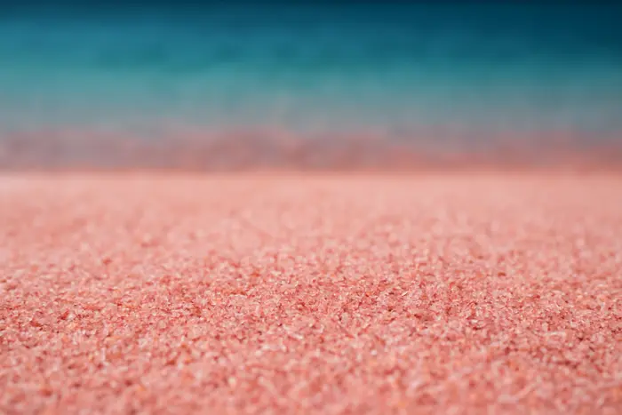 sasak kuta beach excursion 1