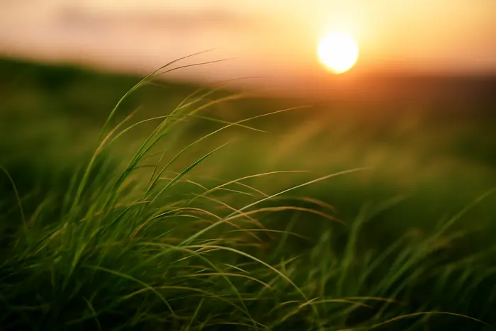 sasak kuta beach excursion 1