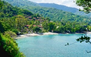 French speaking shore excursion guide