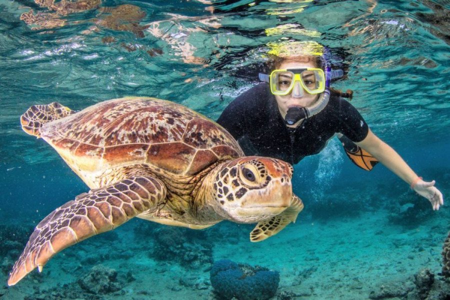 Lombok excursion for adventure lovers