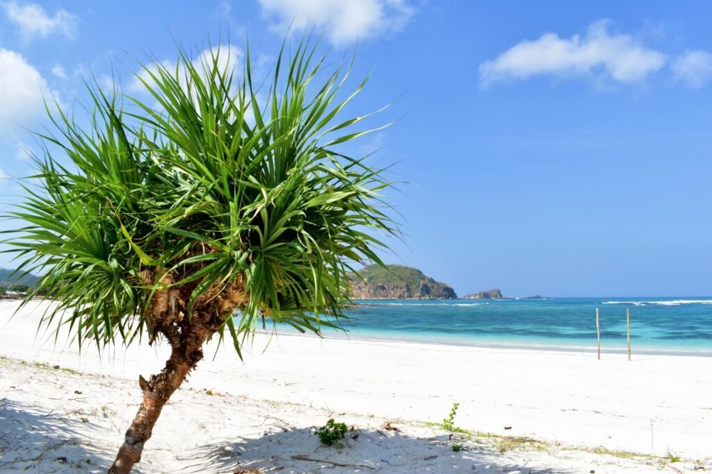 Lombok shore excursion deals