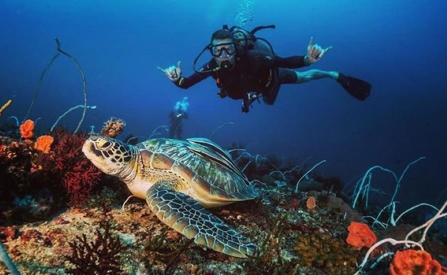 Scuba Diving Shore Excursion Lombok