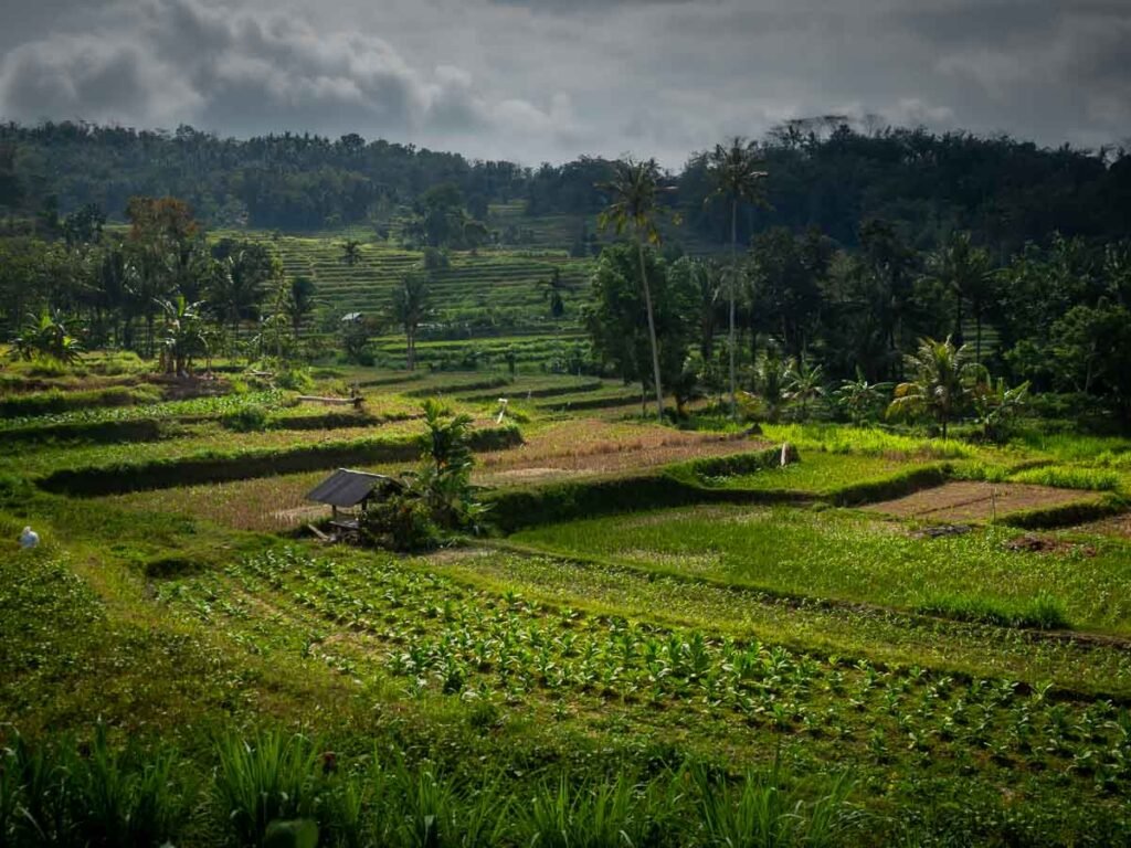 rural Lombok excursion from port