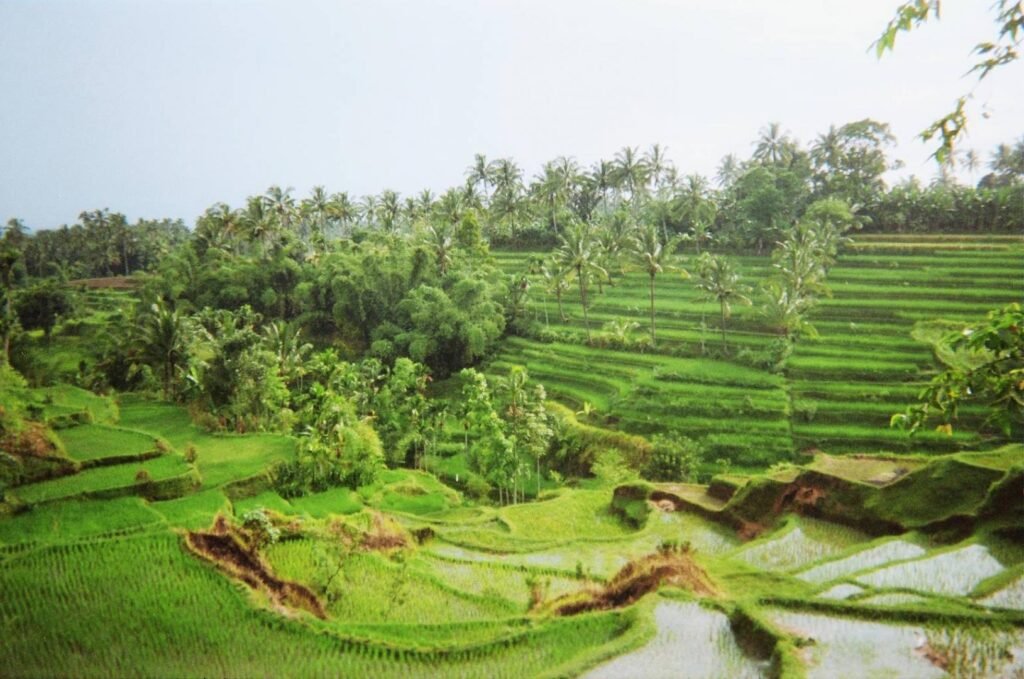 rural Lombok excursion from port
