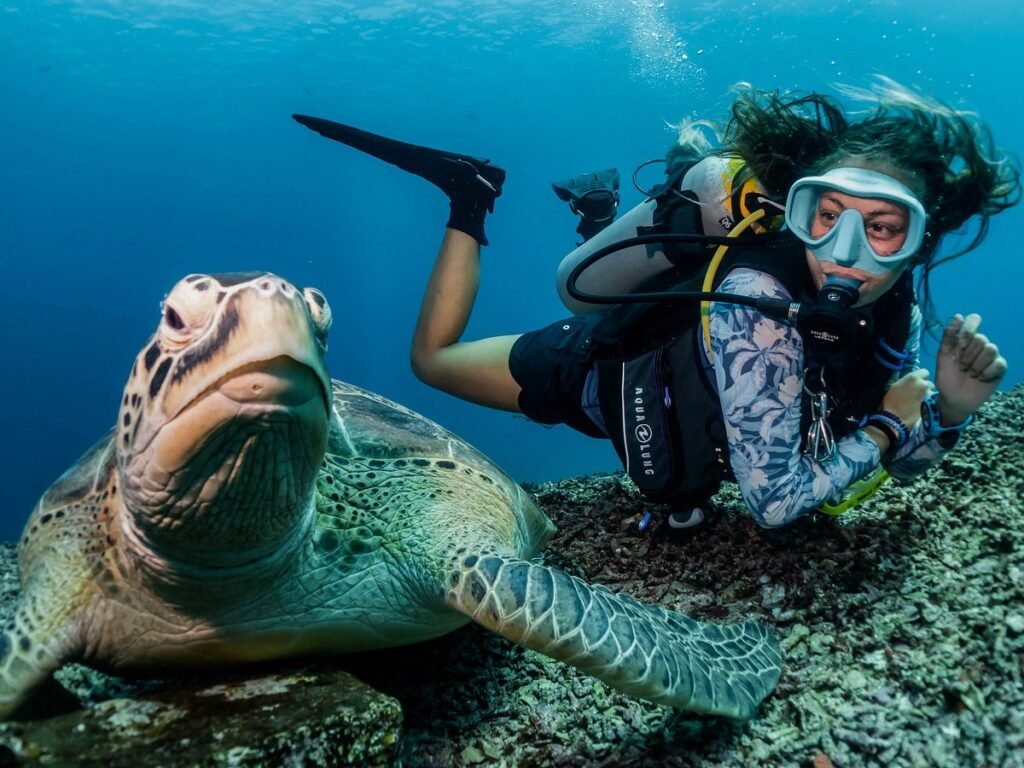 scuba diving shore excursion Lombok