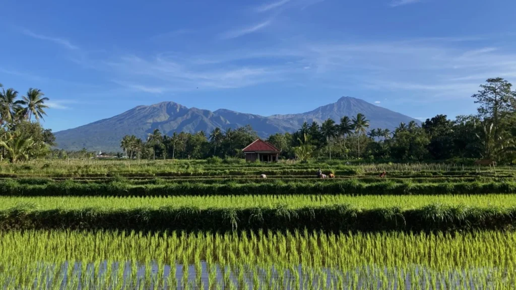 seabourn shore excursions Lombok