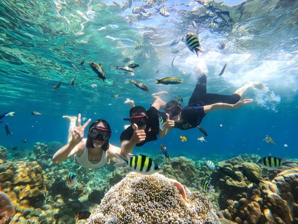 Cycling Shore Excursions Lombok