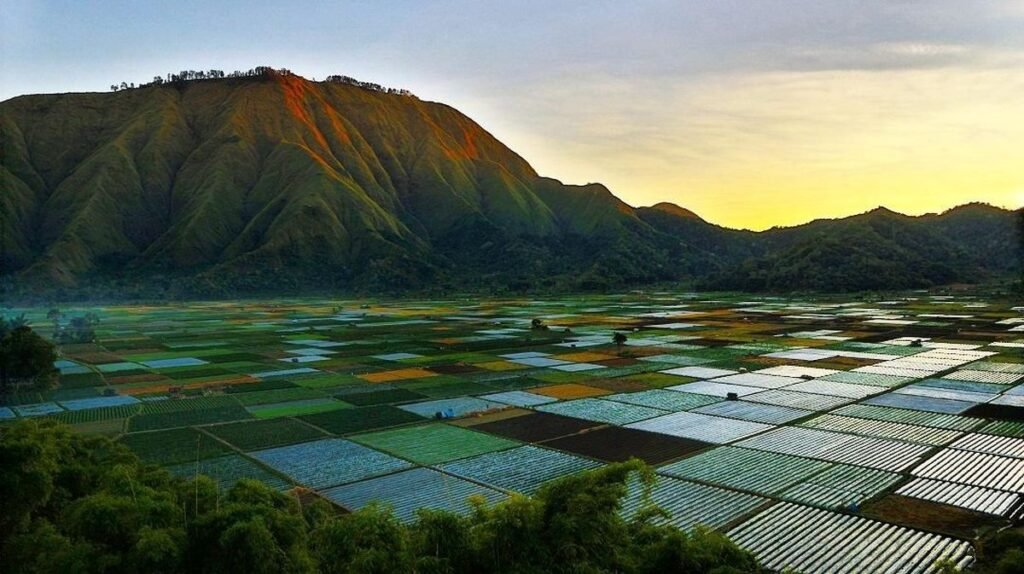 Sembalun Valley