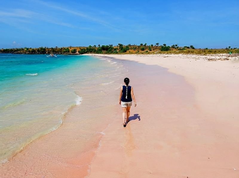 Lombok excursion rates