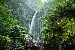 Nature shore excursions Lombok