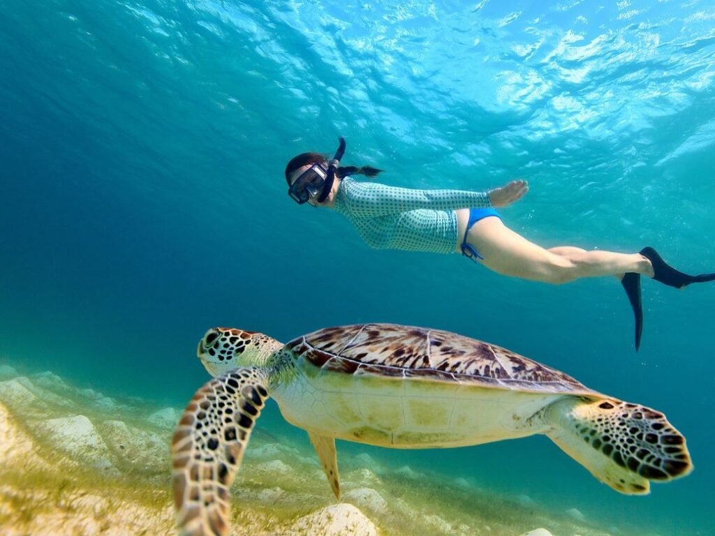 private speedboat Gili Trawangan excursion